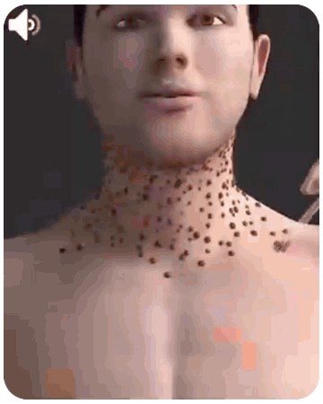 1777535881515713.gif